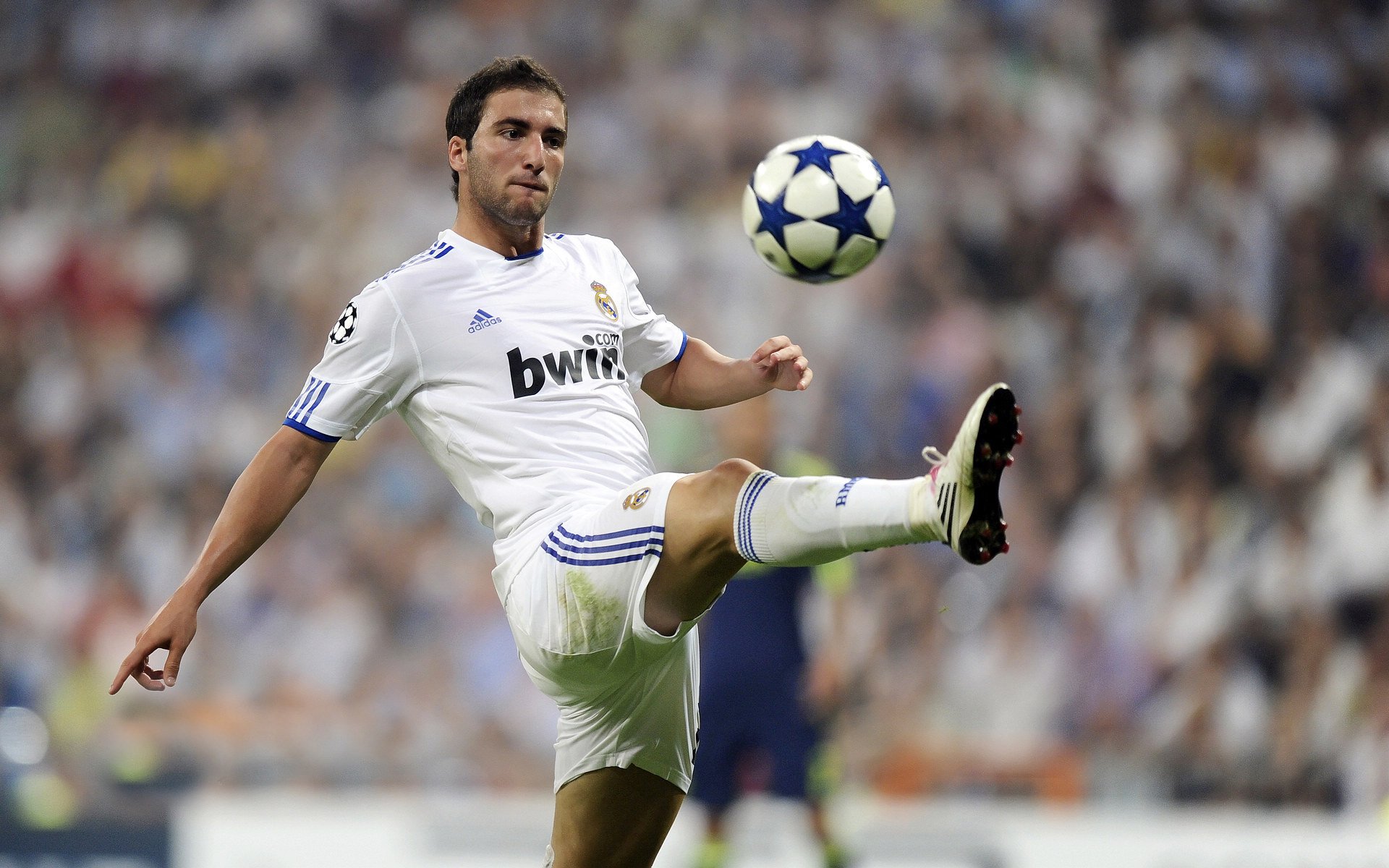 赛道上的绝对主宰，勒克莱尔状态火热，梅赛德斯完胜索伯车队